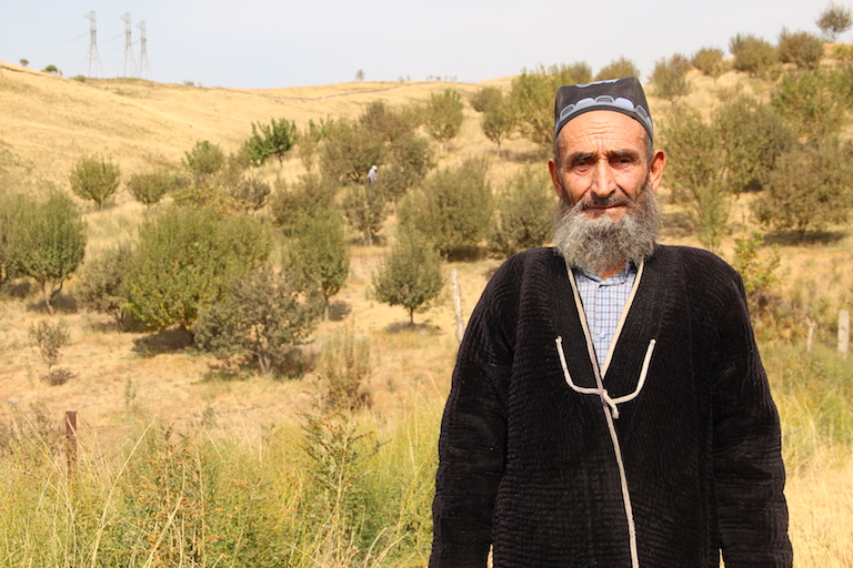 Tajikistan Agroforestry - Regeneration Newsroom